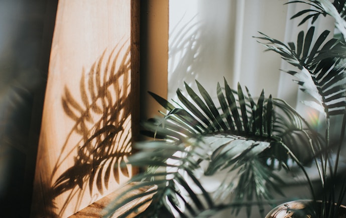 There Should Be Ample Source of Light
