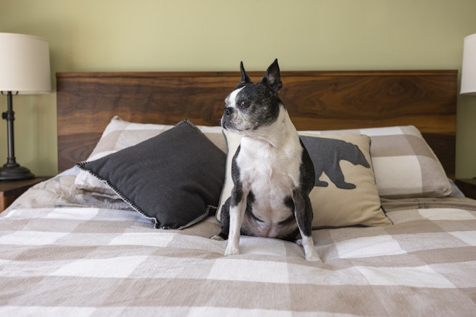 Medium-Firm Mattresses if You Want More Back Support