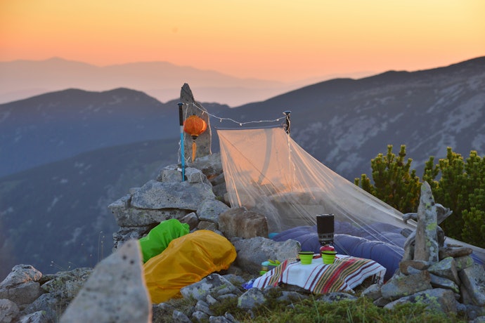 Treated Mosquito Nets Can Kill Insects Instantly