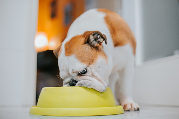 Silicone Is Slip-Resistant and Suitable for Light Chewers