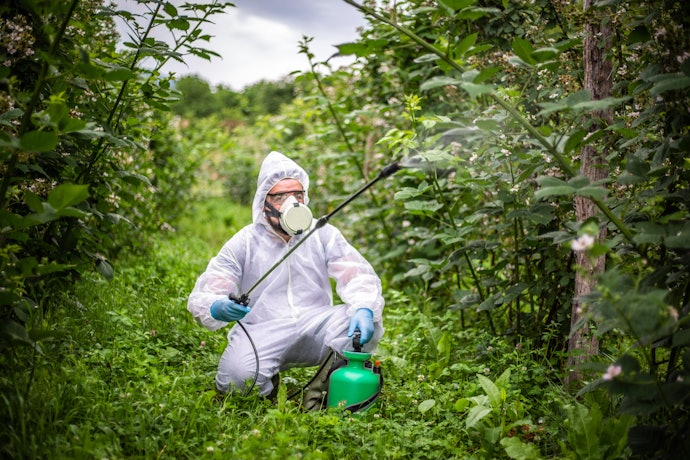 Dust Pesticides Are Best for Outdoor Use