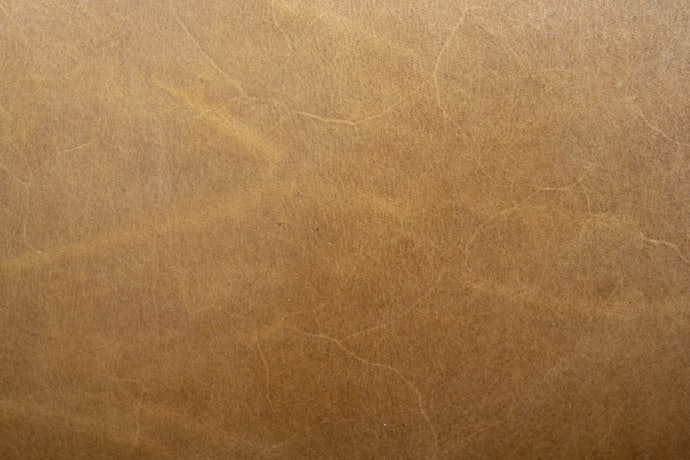 Leather Is Fragile and Comes with a Hefty Price