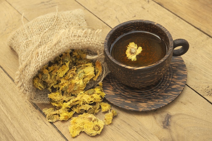 Chrysanthemum Is Great for Hangovers