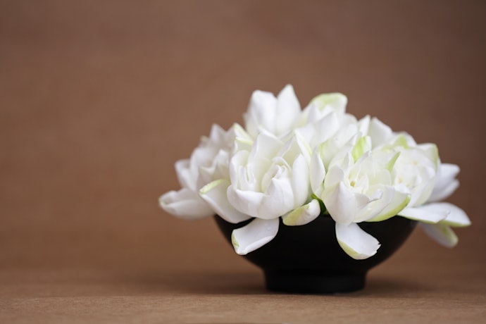 Floral and Fruity Scents Are Great for Daytime Wear