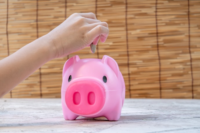 Pick a Lightweight Plastic Coin Bank if You Prefer Cute Designs
