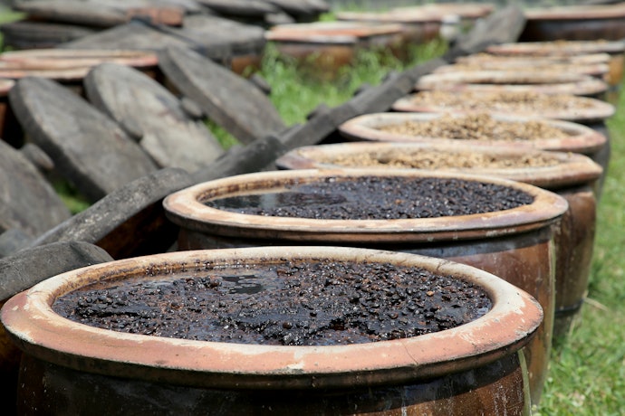 Naturally Processed Produces a Rich Taste