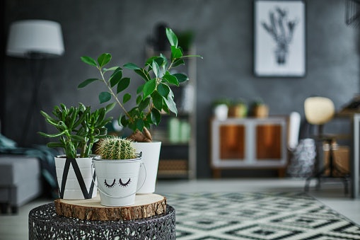Check if the Area Is Conducive for Growth