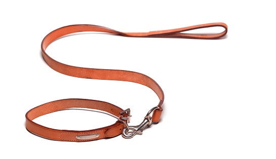 Get Both Comfort and Luxury With a Leather Leash