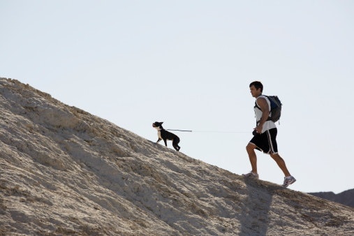 A Retractable Leash or Slip Lead Is Best for Leash-Trained Dogs