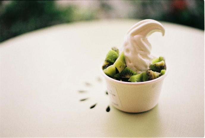Frozen Yogurt Is Light on the Palate