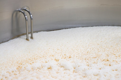 The Two Ways To Ferment Beer: Top Fermentation and Bottom Fermentation