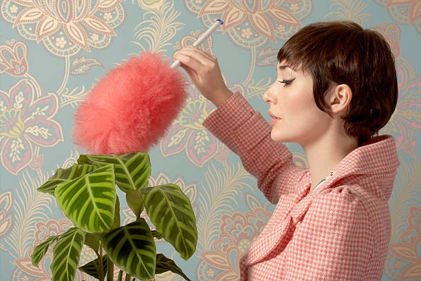 Dust Your Delicate Items Safely