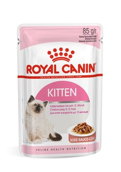 10 Best Wet Food for Kittens in the Philippines 2024 Buying