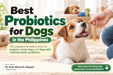 10 Best Probiotics for Dogs in the Philippines 2026 | Buying Guide Reviewed by Veterinarian