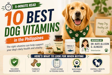 10 Best Dog Vitamins in the Philippines 2026 | Buying Guide Reviewed by Veterinarian