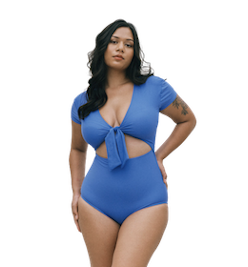 SAMMIE STRIPE SWIMSUIT  High waisted bathing suits, Backless swimwear,  Plus size swimwear