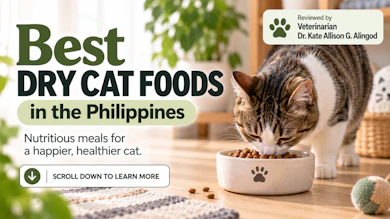10 Best Dry Cat Foods in the Philippines 2026 | Buying Guide Reviewed by Veterinarian