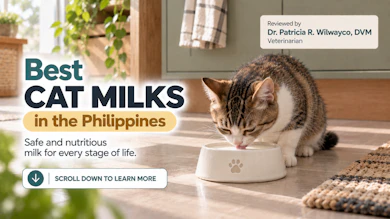 10 Best Cat Milks in the Philippines 2026 | Buying Guide Reviewed by Veterinarian