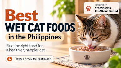 10 Best Wet Cat Foods in the Philippines 2026 | Buying Guide Reviewed by Veterinarian
