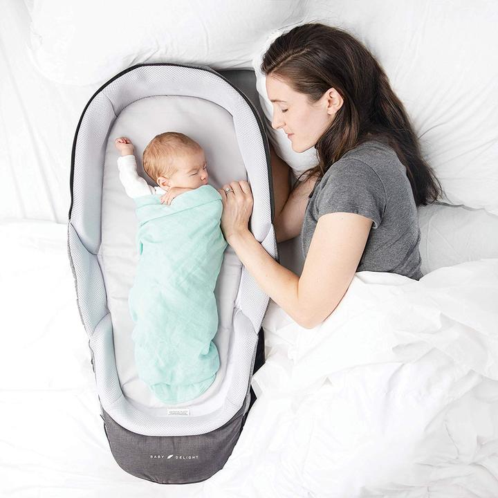 Baby Delight  Snuggle Nest - Adventure Translation missing: en-PH.activerecord.decorators.item_part_image/alt
