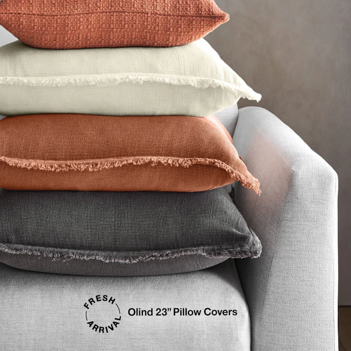 Crate & Barrel Olind 23" Pillow Covers Translation missing: en-PH.activerecord.decorators.item_part_image/alt