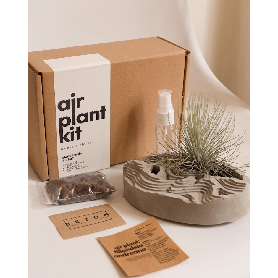 béton planter Air Plant Kit in Collina Planter - Andreana Translation missing: en-PH.activerecord.decorators.item_part_image/alt
