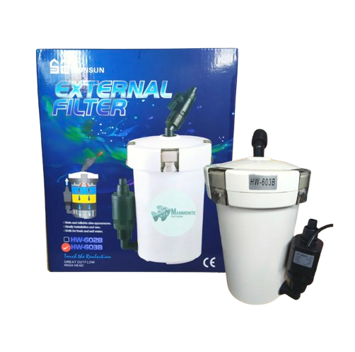 External Canister Filter 2
