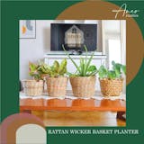10 Best Planter Baskets in the Philippines 2026 | Ilokana Handicrafts, Arkus Balay, and More 1