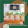 Aneo Rattan Wicker Basket Planter 1