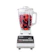 Oster 10-Speed Blender 1