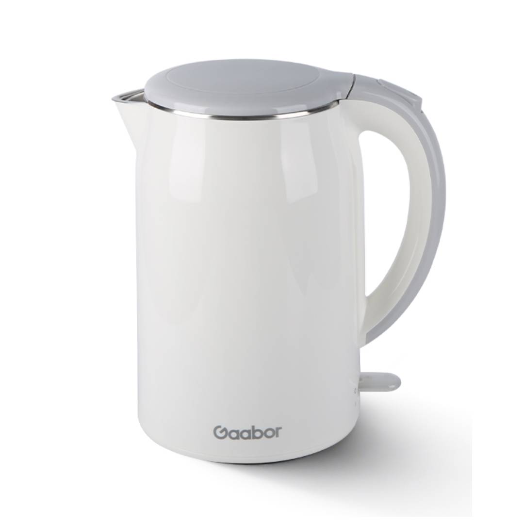 Electric Kettle 1
