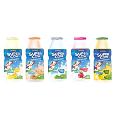 Yogurt Milk Drink