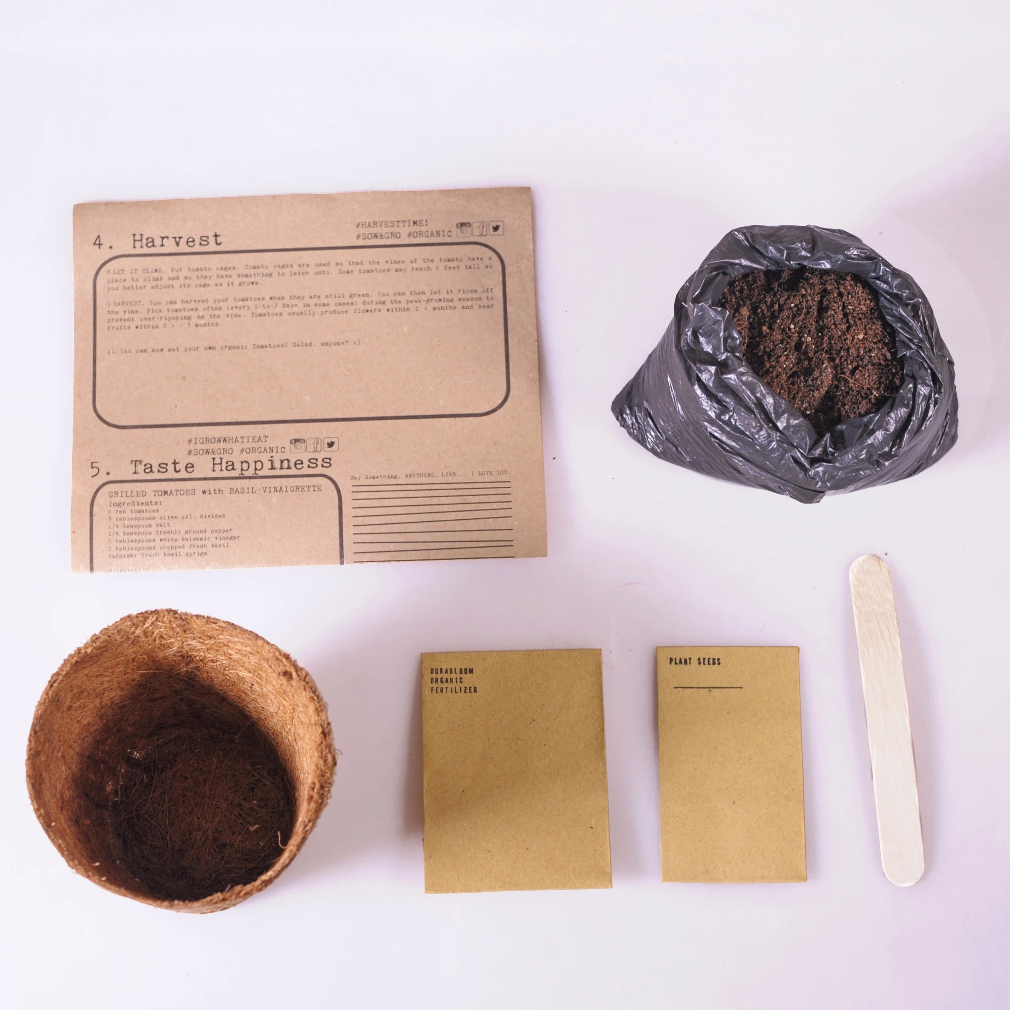 Basil Grow Kit 2