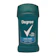 Degree 48H Antiperspirant Deodorant 1
