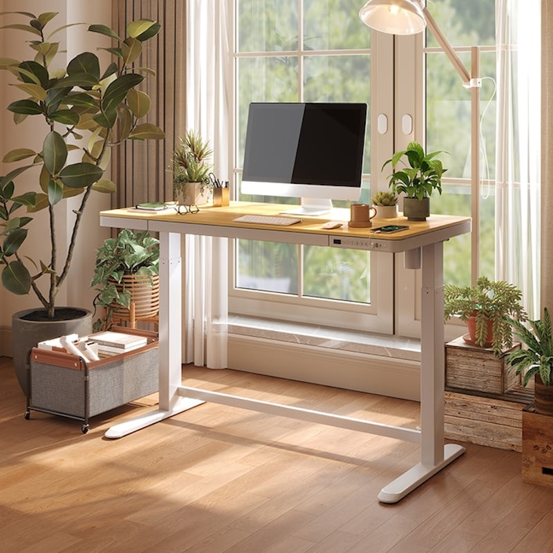 Deskey E150 Essential Standing Desk 2