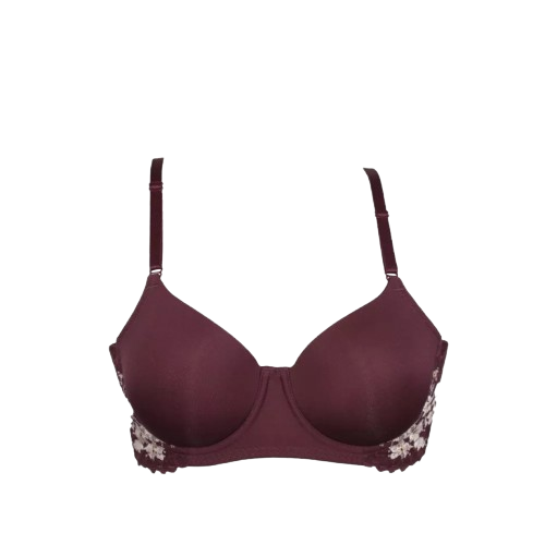 Push Up Bra 1