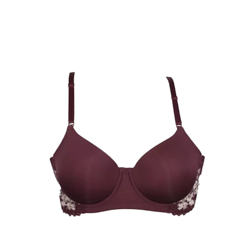 Push Up Bra 1