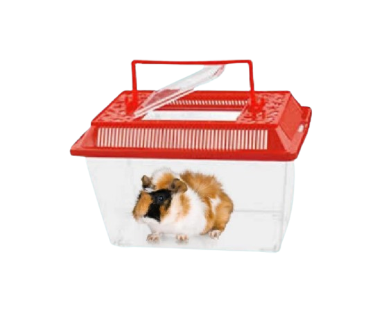 Small Home House Box With Handle 1
