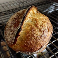 Classic Sourdough