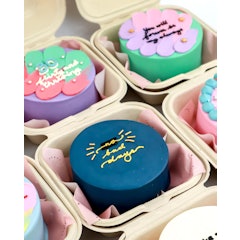 Bento Cake