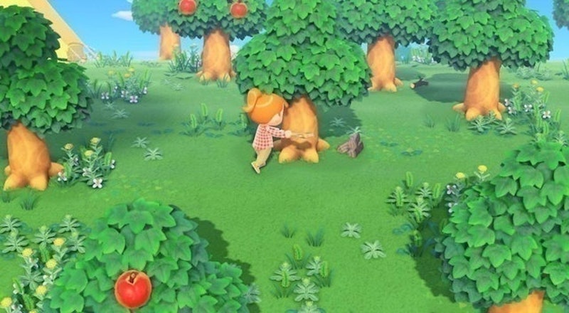 Animal Crossing: New Horizons 5