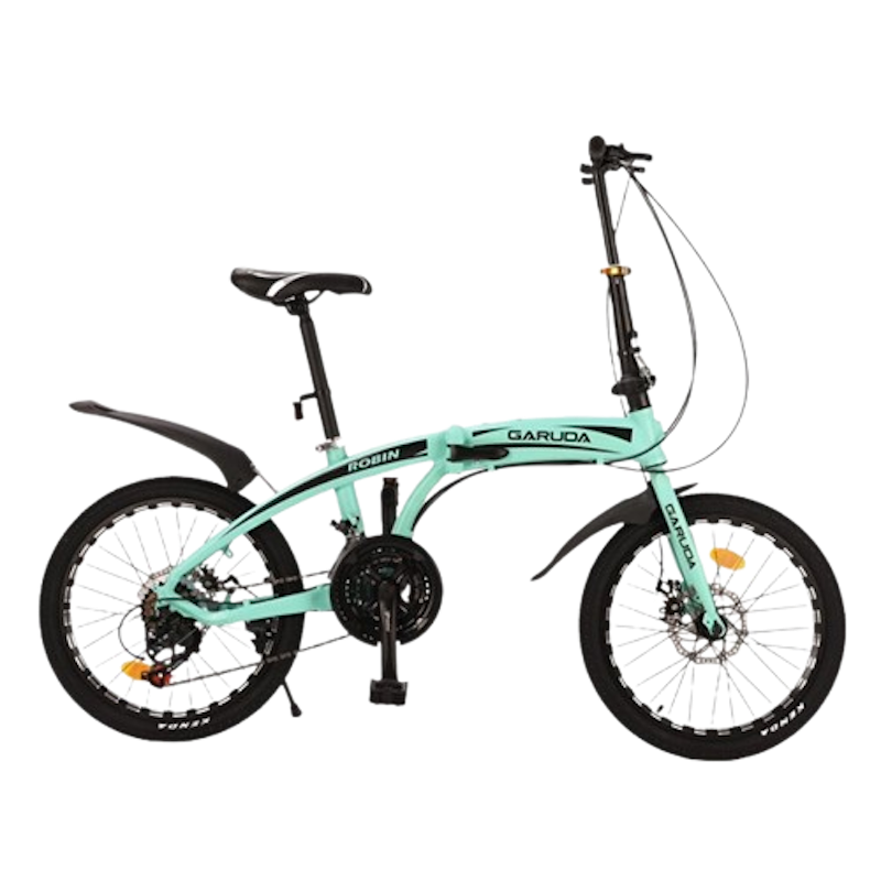 Robin High-Quality Folding Bike Alloy Frame 3