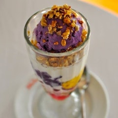 Milky Way Halo Halo