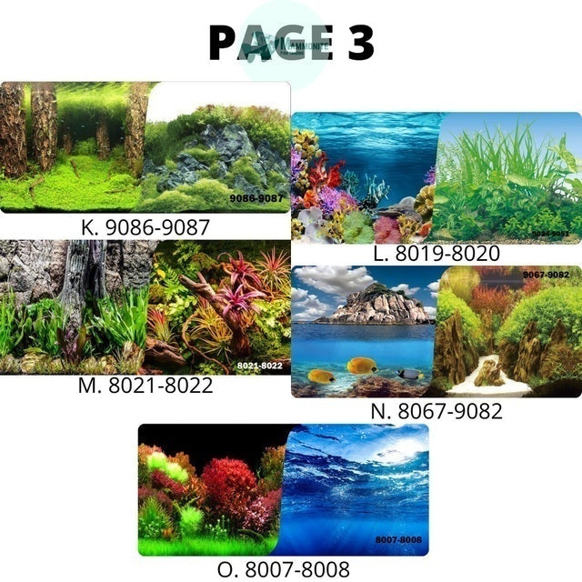 Realistic Colorful Aquarium Background Wallpaper 4