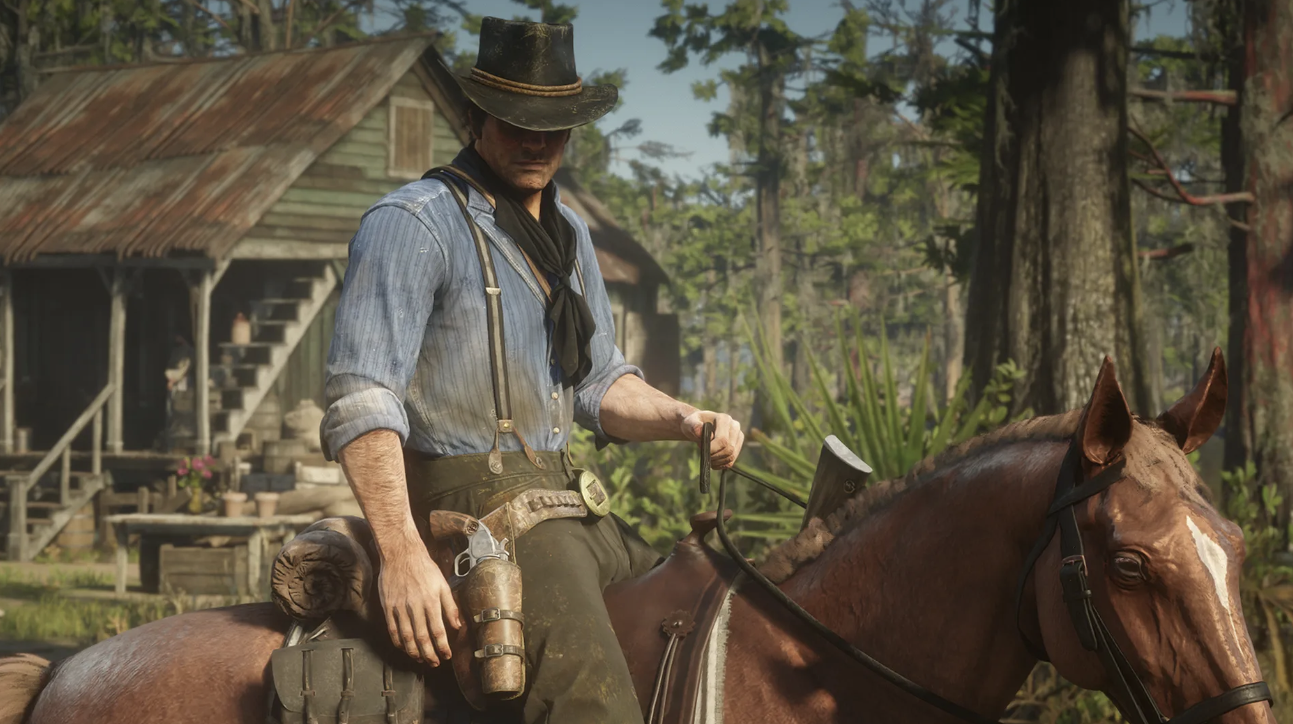 Red Dead Redemption 2 6