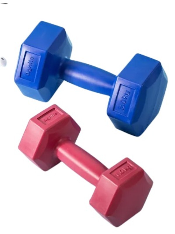 PE Dumbbell 2