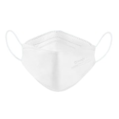 Protective Mask