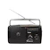 Astron Blueice Portable AM/FM Radio 1