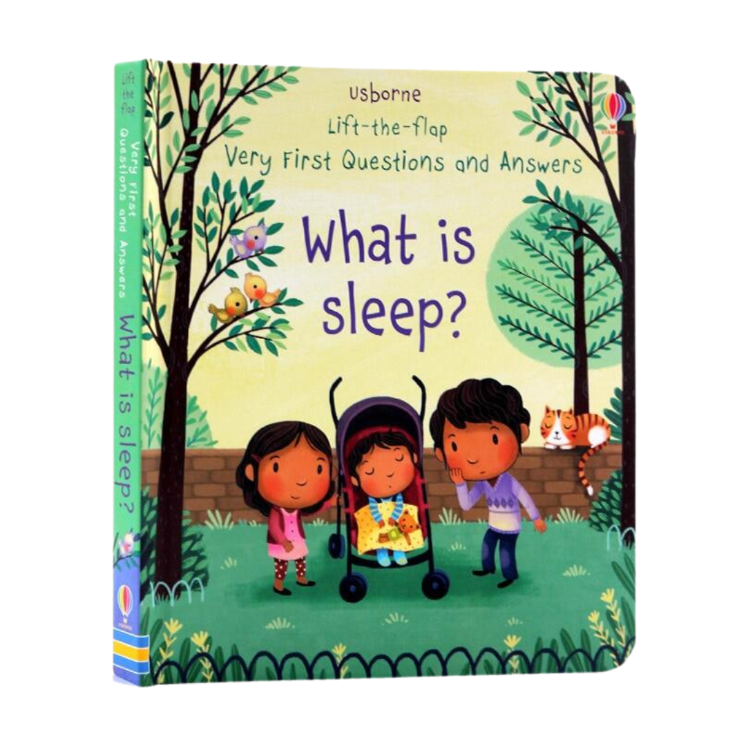 Lift-The-Flap Questions and Answers Book 3