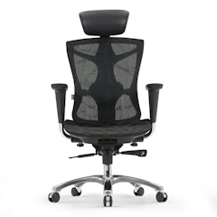 V1 Ergonomic Chair